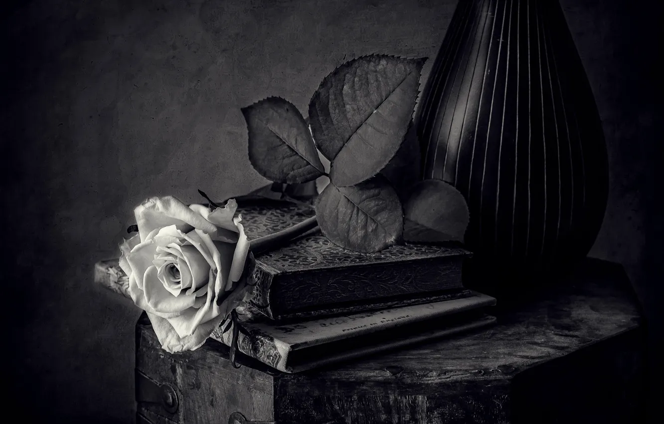 Photo wallpaper roses, book, black and white