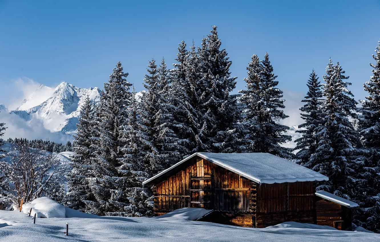 Photo wallpaper winter, forest, mountains, Switzerland, house, Switzerland, Surselva region