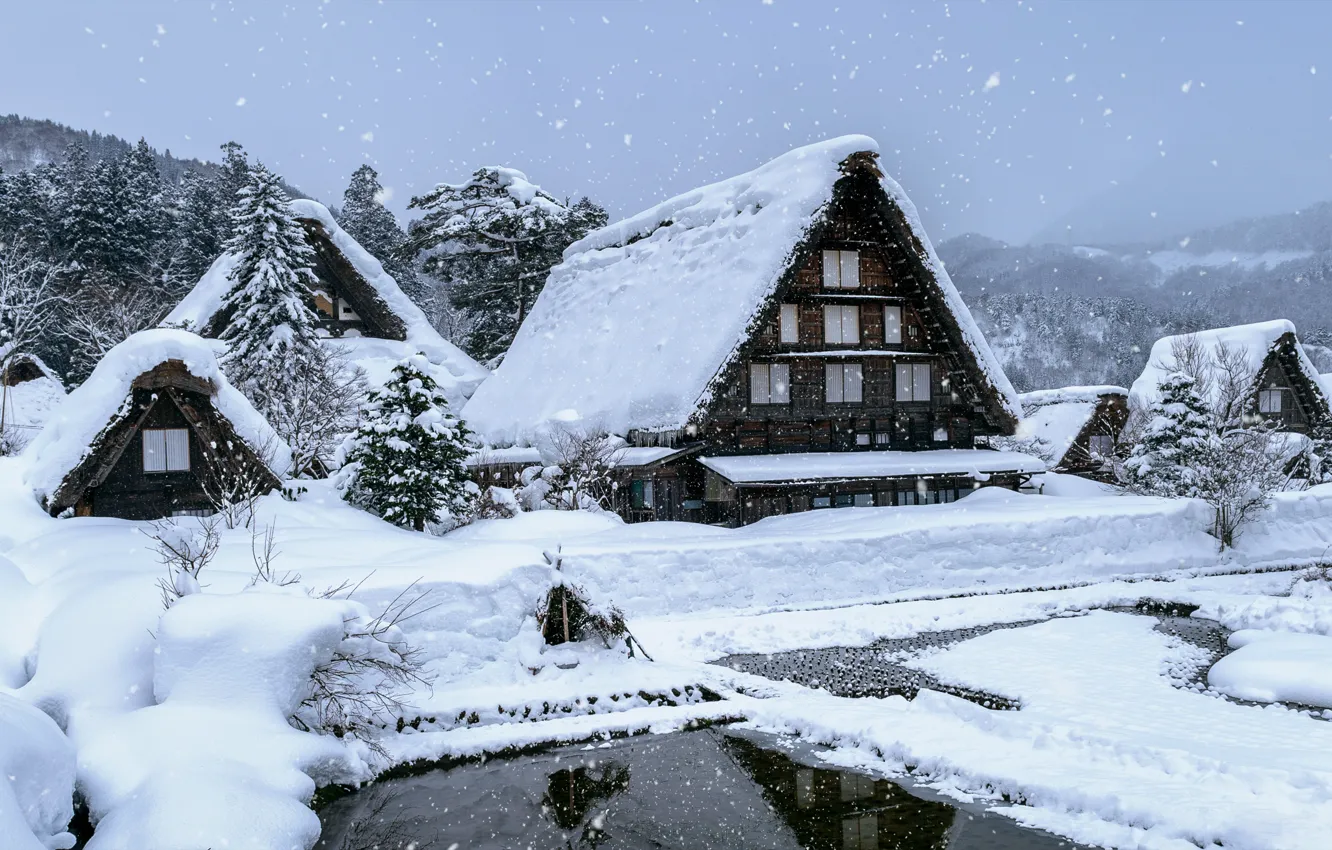 Photo wallpaper winter, forest, snow, trees, lake, house, hut, forest
