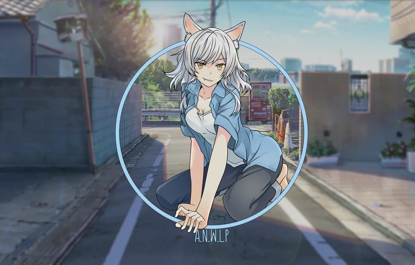 Photo wallpaper cat, girl, street, anime, day, nothing, madskillz