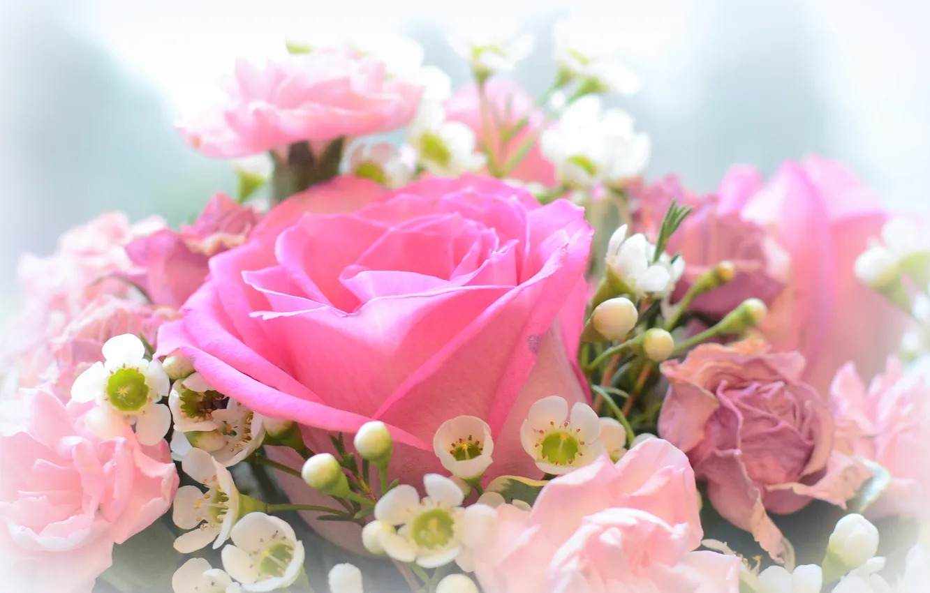 Photo wallpaper roses, bouquet, blur, pink
