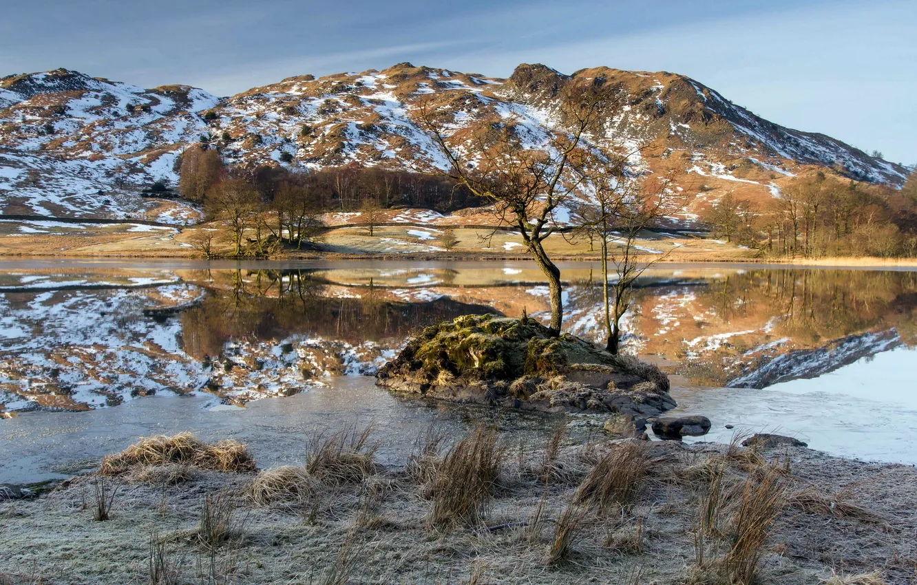 Photo wallpaper trees, landscape, mountains, lake