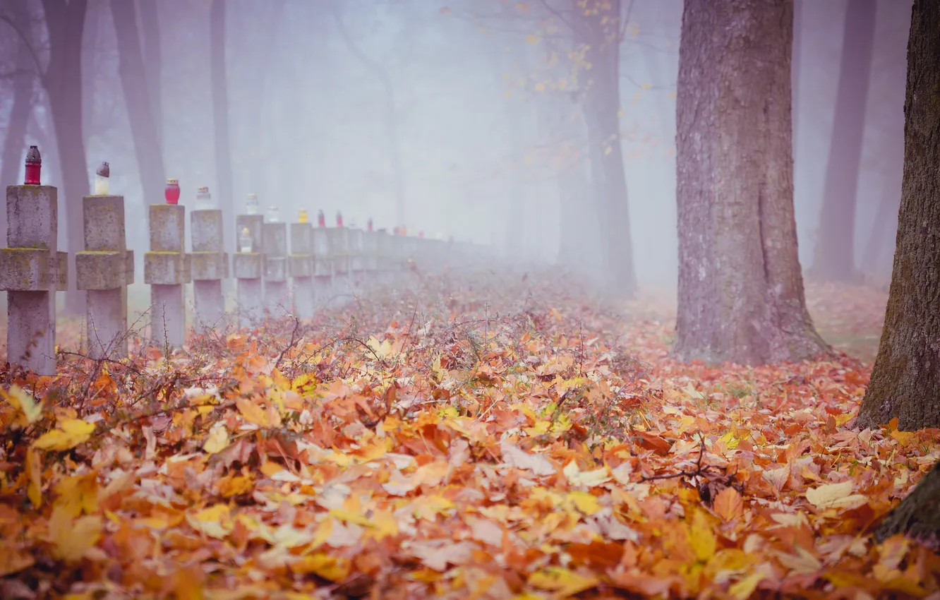 Photo wallpaper autumn, leaves, trees, fog, crosses, graves, cemetery