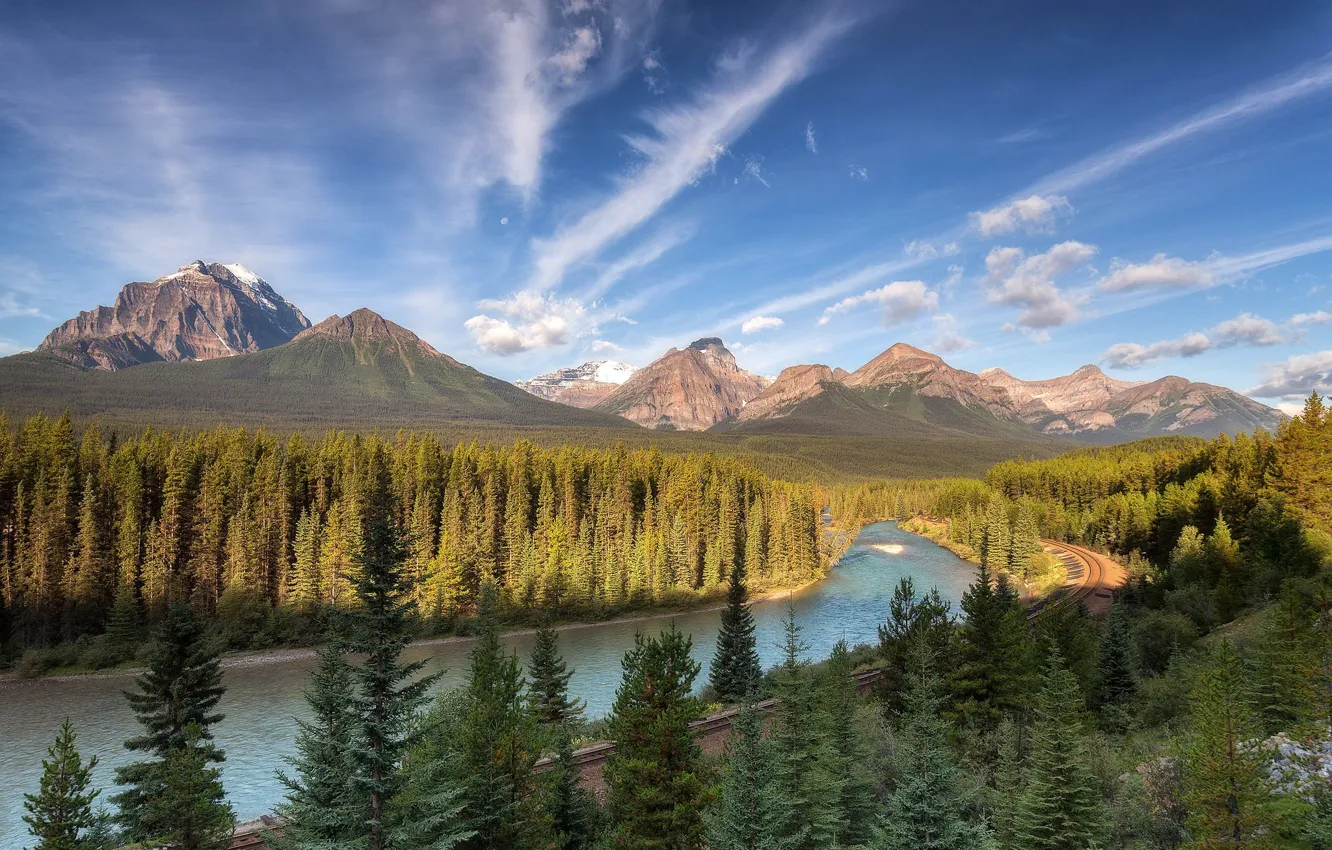 Photo wallpaper forest, the sky, mountains