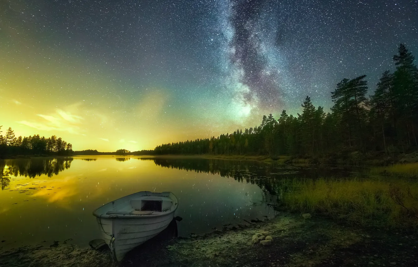 Photo wallpaper forest, the sky, grass, stars, light, sunset, night, lake