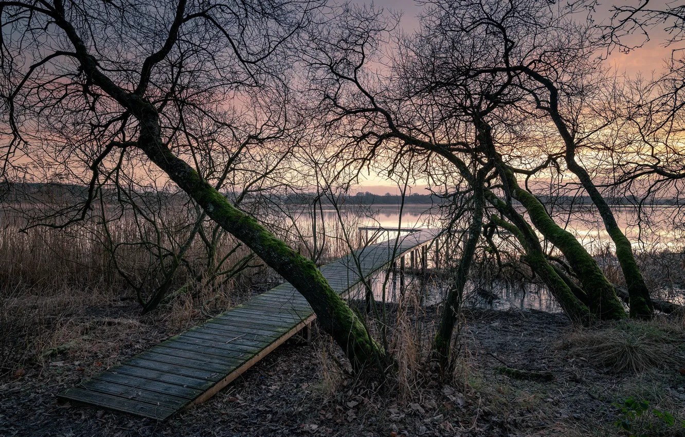 Photo wallpaper sunset, bridge, lake
