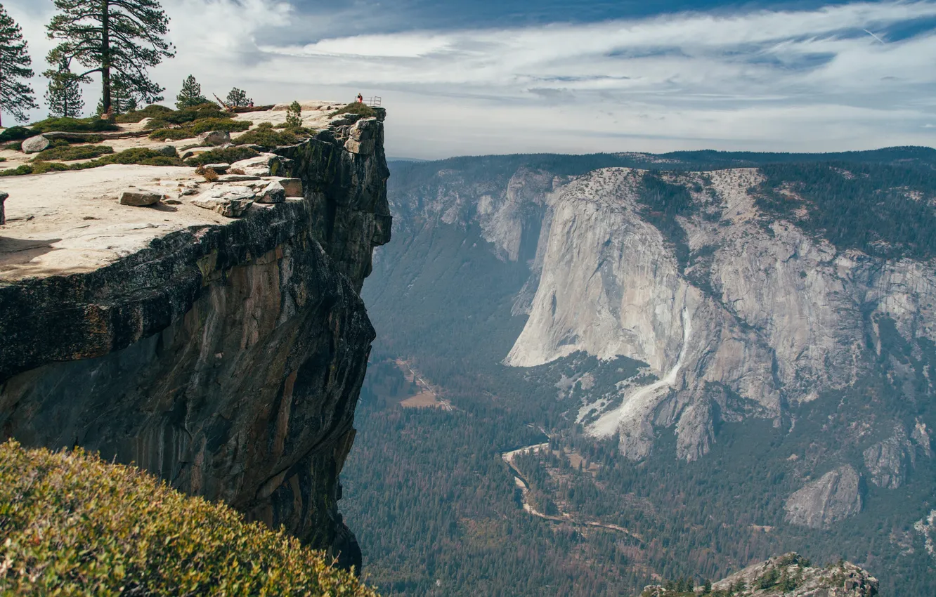 Photo wallpaper forest, the sky, grass, clouds, trees, landscape, mountains, nature