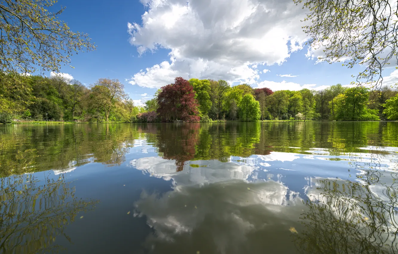 Photo wallpaper forest, the sky, clouds, trees, landscape, nature, lake, plants