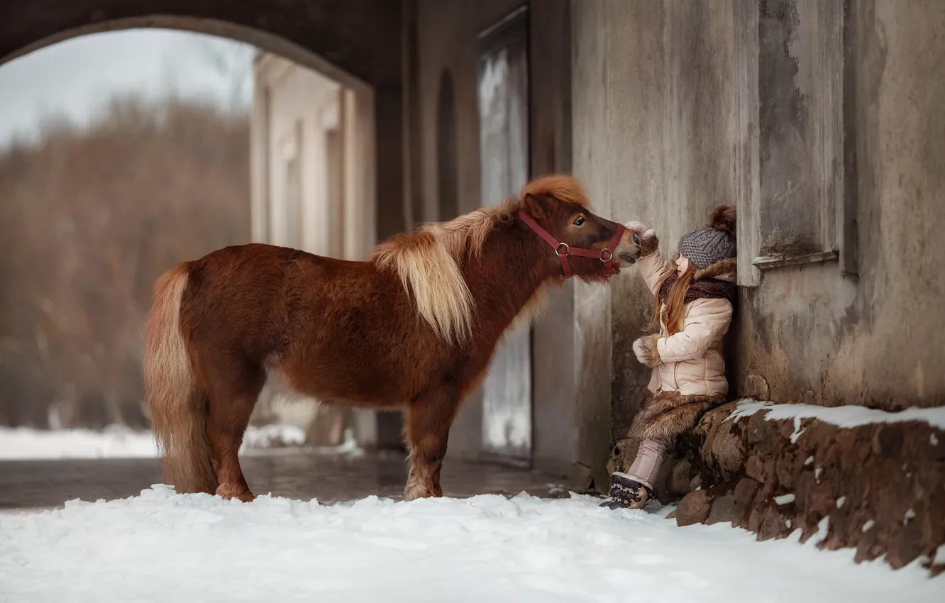Photo wallpaper winter, friendship, girl, pony, horse