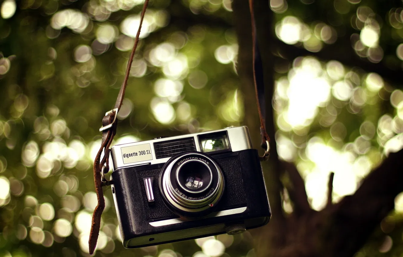 Photo wallpaper macro, background, cameras