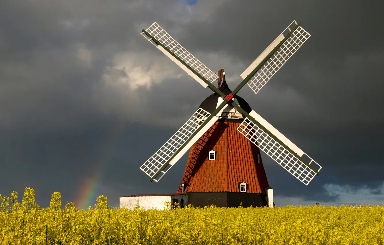 Photo wallpaper field, clouds, overcast, rainbow, mill, rape