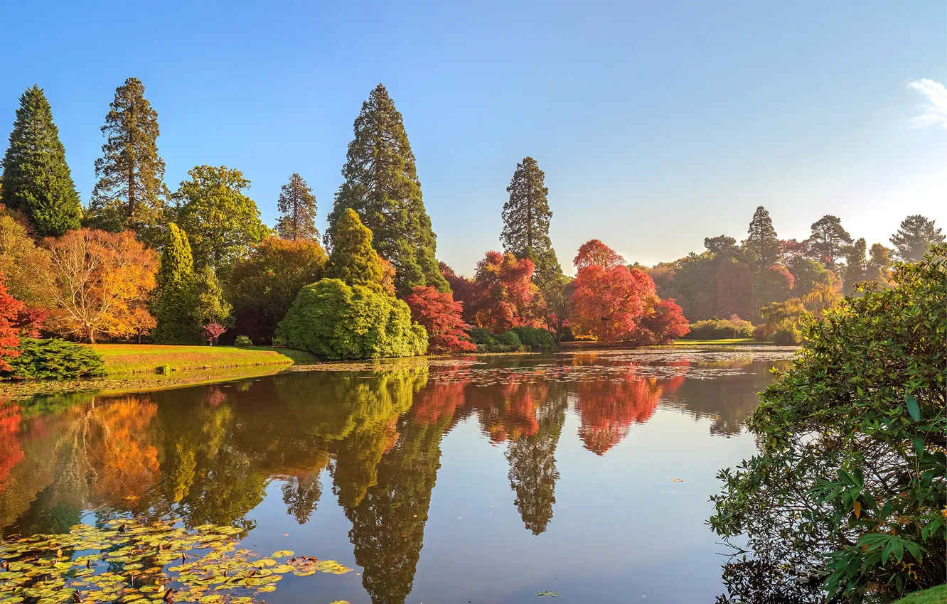 Photo wallpaper autumn, the sun, trees, river, England, Sheffield Park