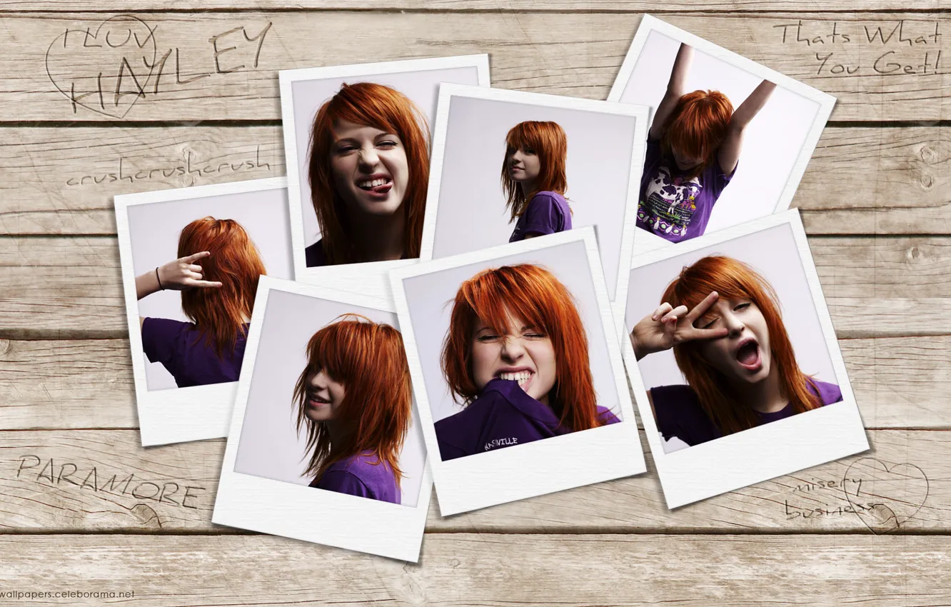 Photo wallpaper photo, collage, singer, hayley williams, Paramore, Hayley Williams