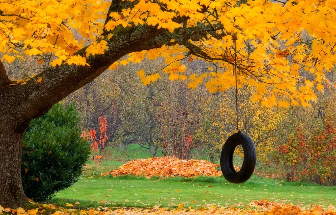 Photo wallpaper autumn, forest, leaves, trees, nature, Park, swing, colors
