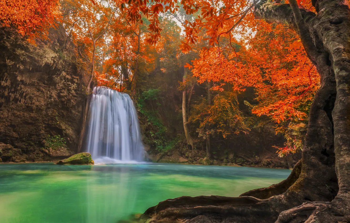 Photo wallpaper autumn, forest, photo, waterfall