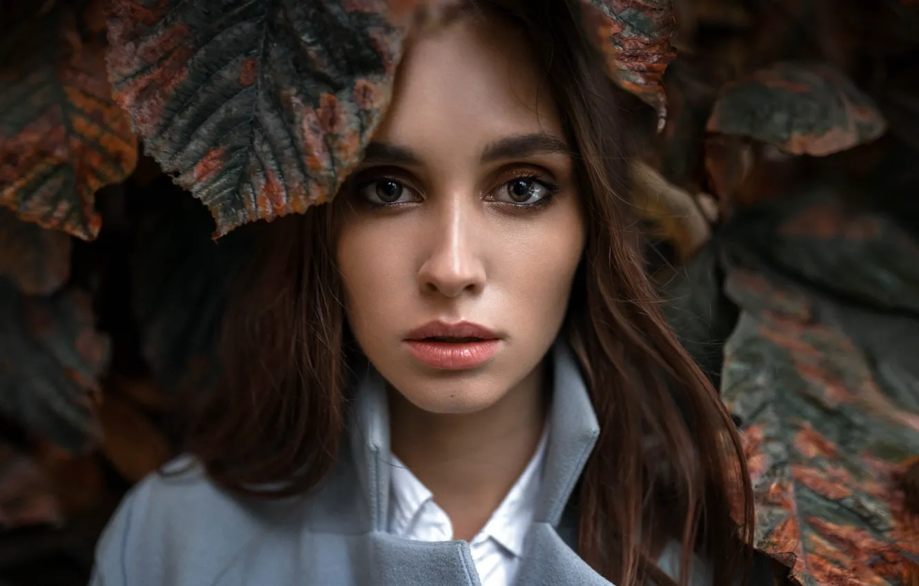 Photo wallpaper look, leaves, close-up, model, portrait, makeup, hairstyle, brown hair