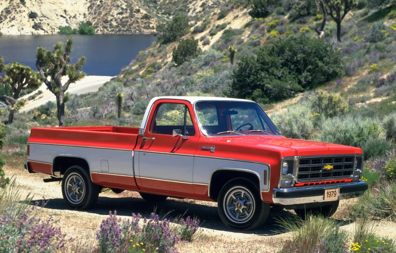 Photo wallpaper Chevrolet, Chevrolet, 1979, Silverado, silverado, Fleetside, C20