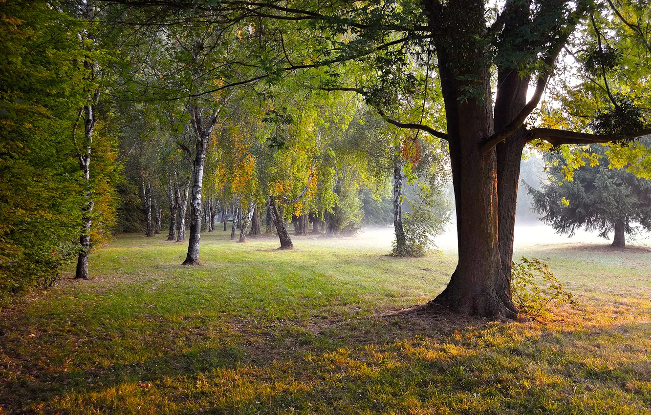 Photo wallpaper autumn, nature, Park