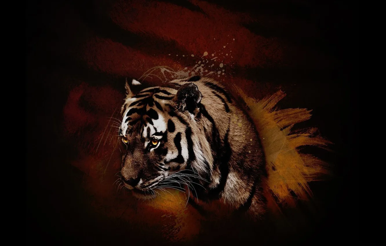 Photo wallpaper orange, red, tiger, animal, predator, beast, brown