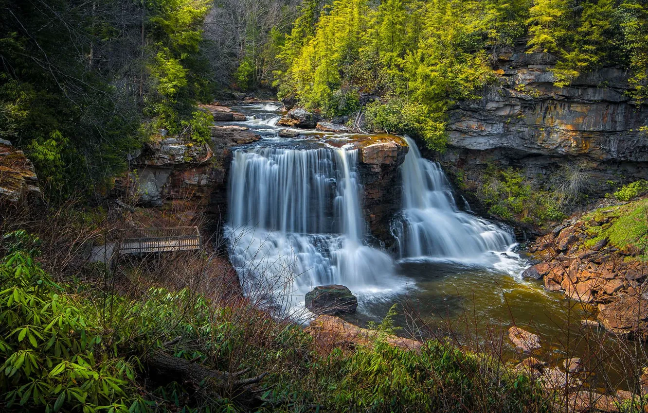 Photo wallpaper forest, rock, river, waterfalls, cascade, West Virginia, West Virginia, Blackwater River