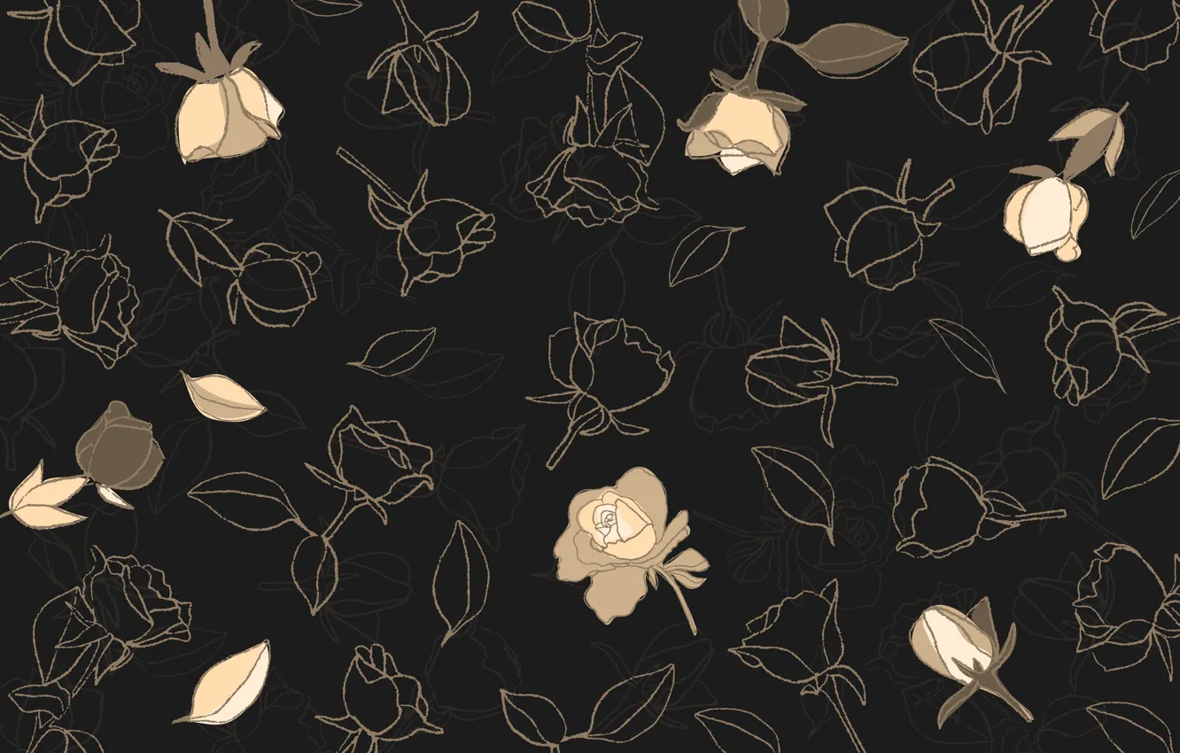 Photo wallpaper flowers, background, black, roses, buds
