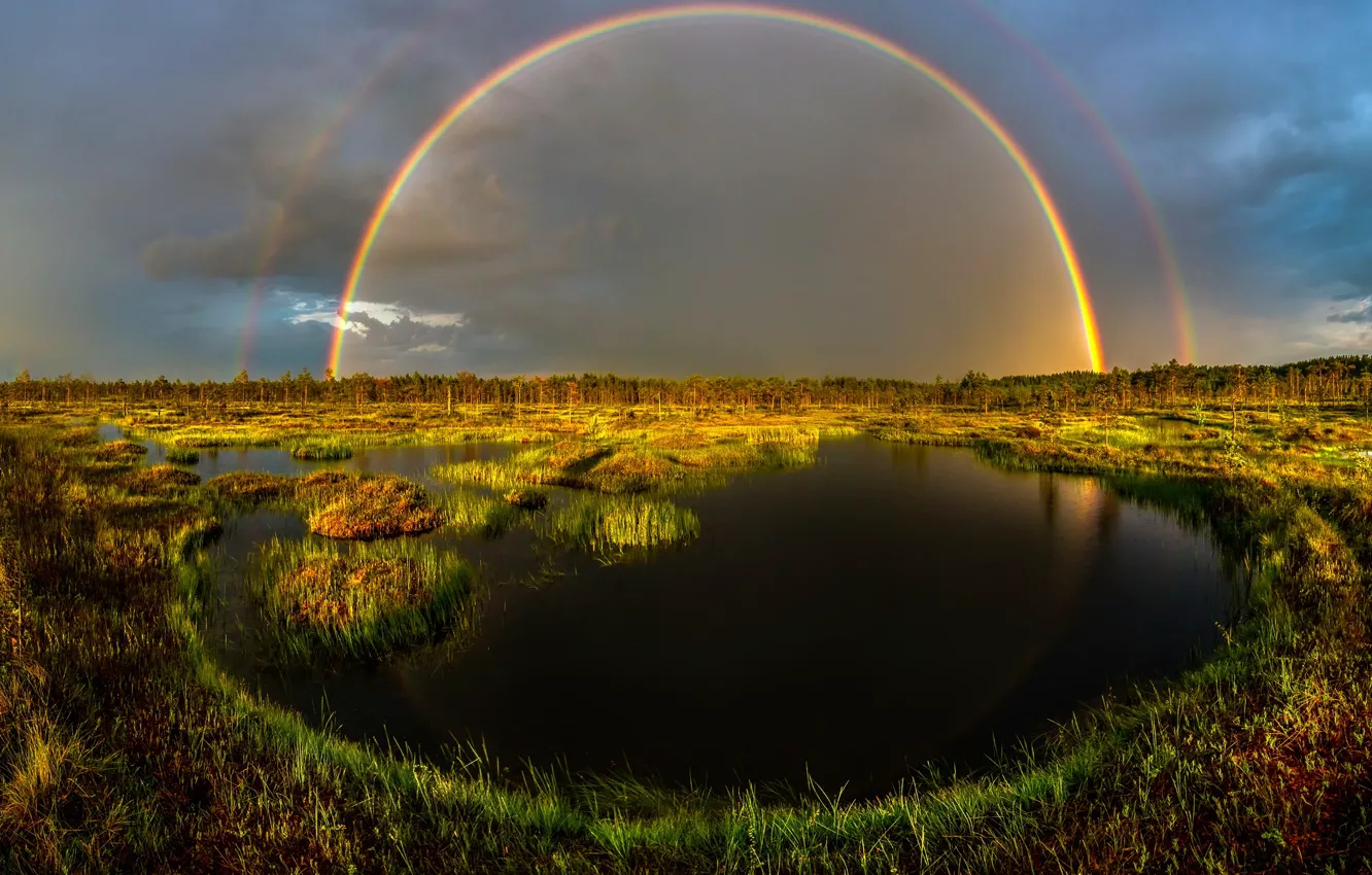Photo wallpaper swamp, rainbow, after the rain, Leningrad oblast