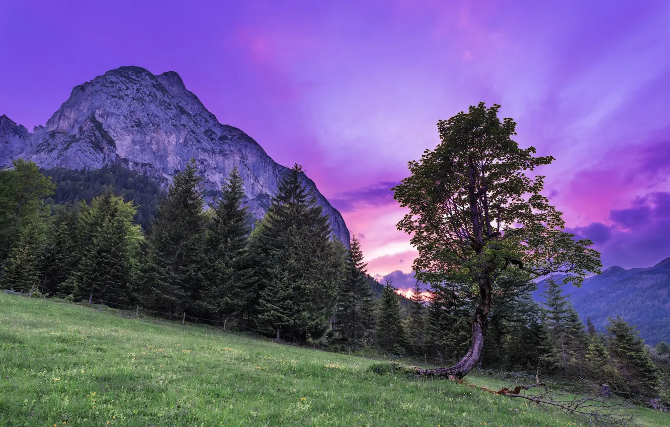 Photo wallpaper the sky, trees, mountains, nature