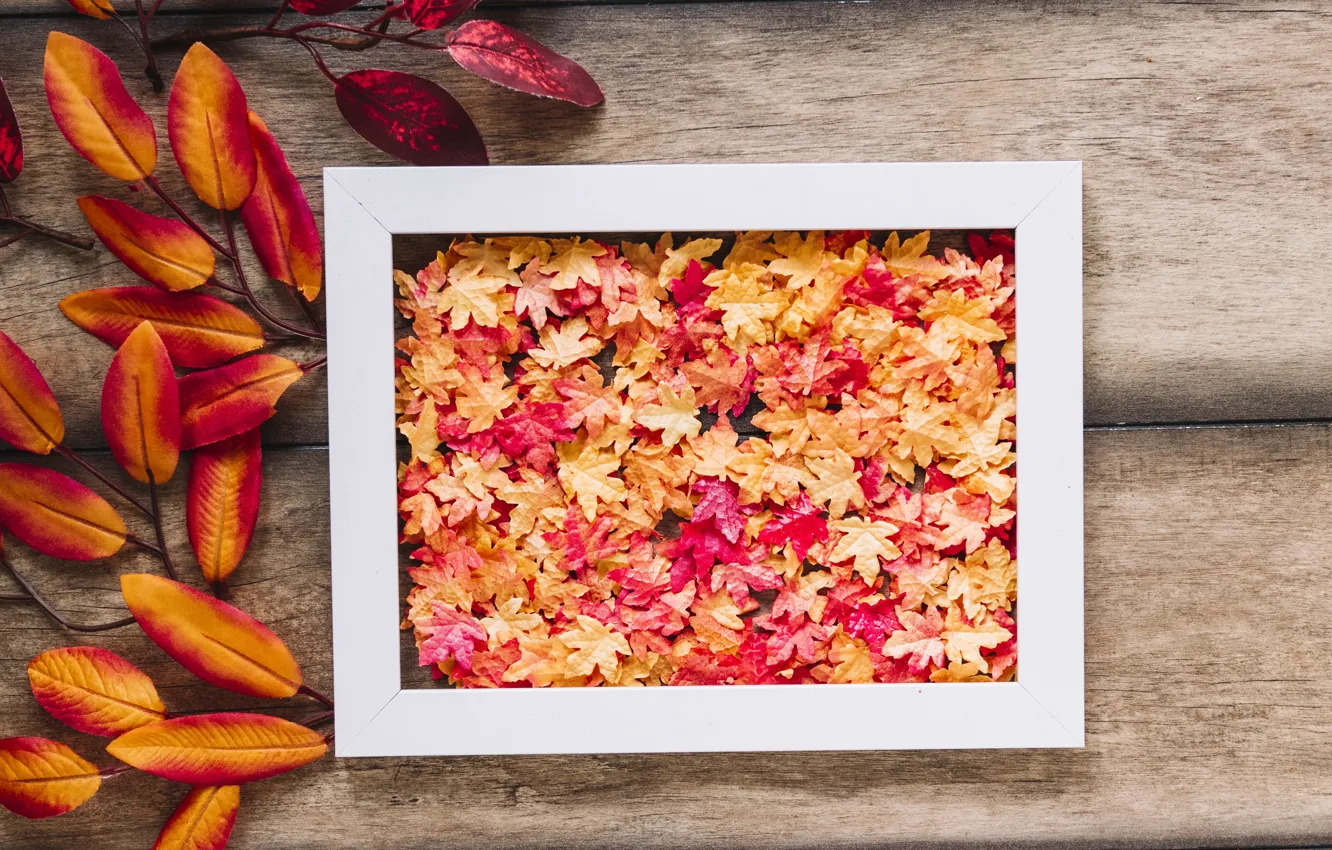 Photo wallpaper autumn, leaves, trees, background, Board, colorful, wood, background