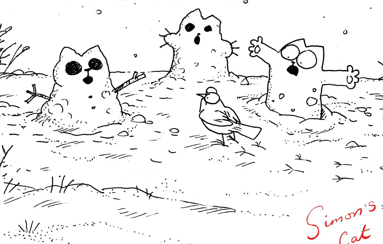 Photo wallpaper humor, cartoon, simon's cat, Simon's cat