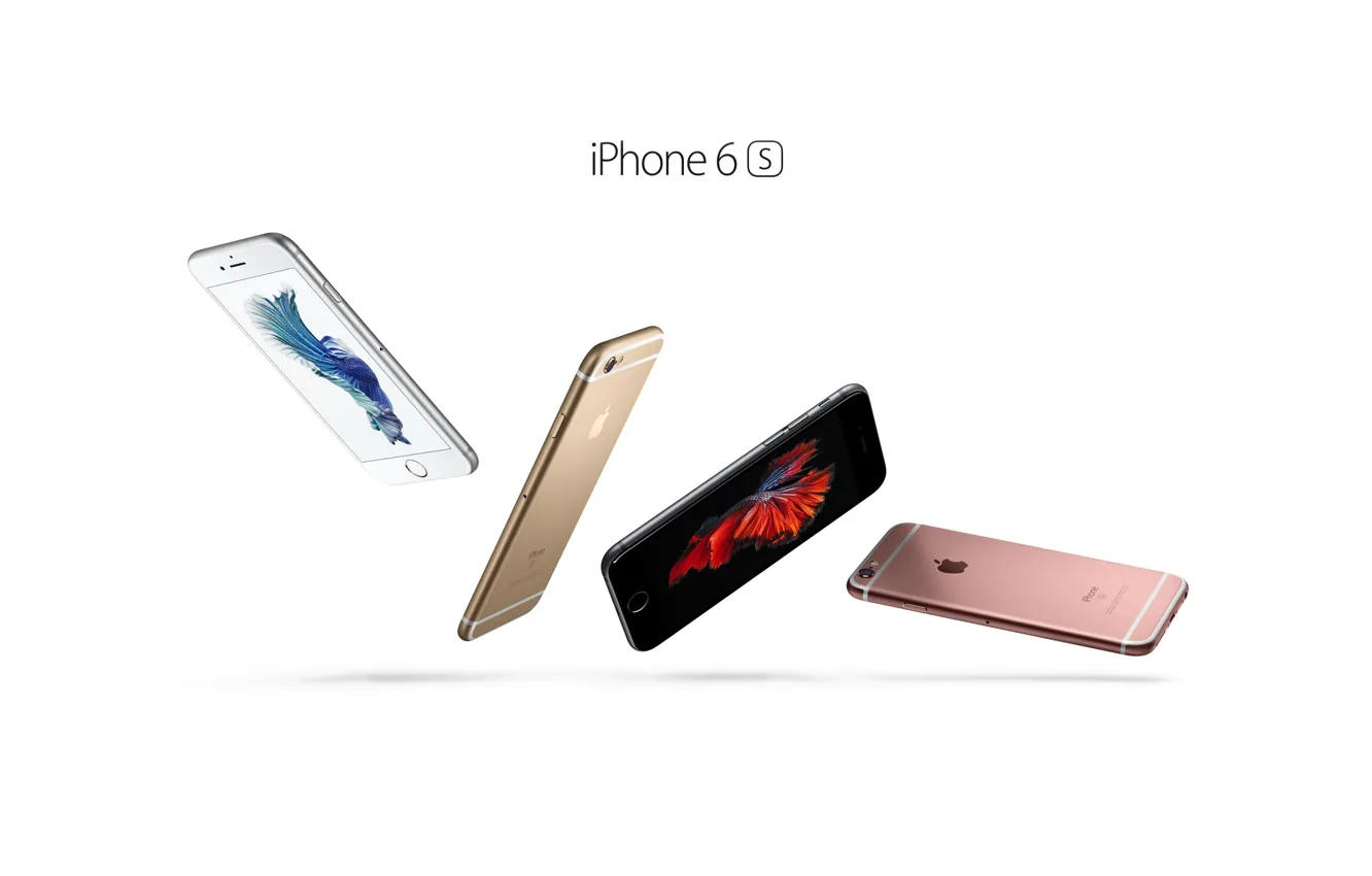 Photo wallpaper iPhone, apple, The new iPhone 6s
