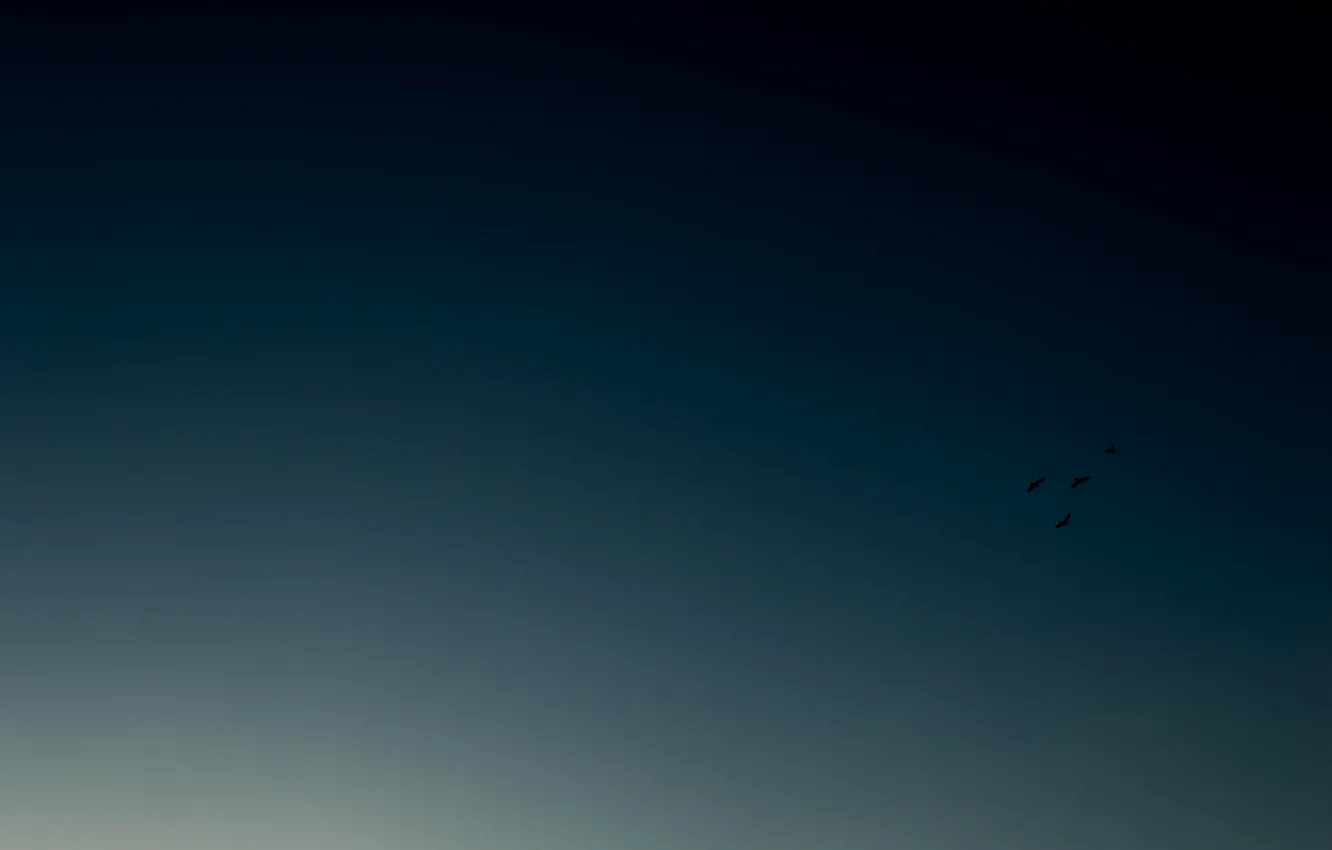 Photo wallpaper autumn, the sky, bird, the evening, flights
