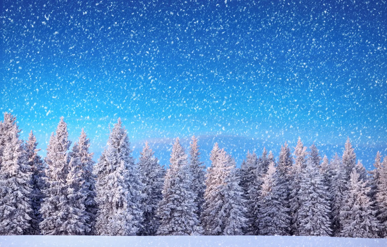 Photo wallpaper winter, forest, snow, snowflakes, tree, nature, winter, snow