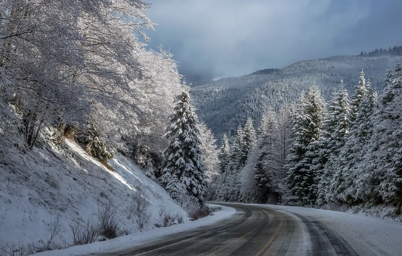 Photo wallpaper winter, road, forest