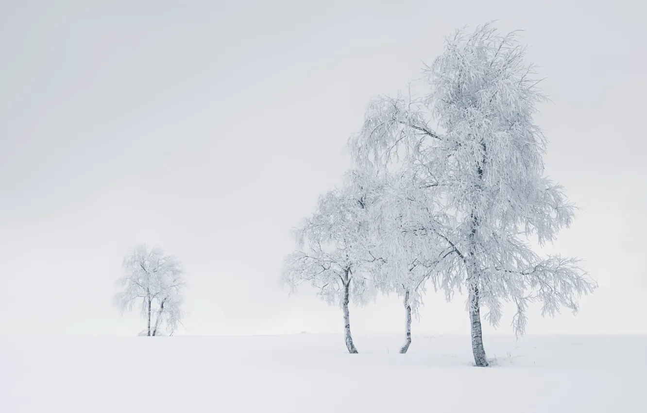 Photo wallpaper winter, snow, fog