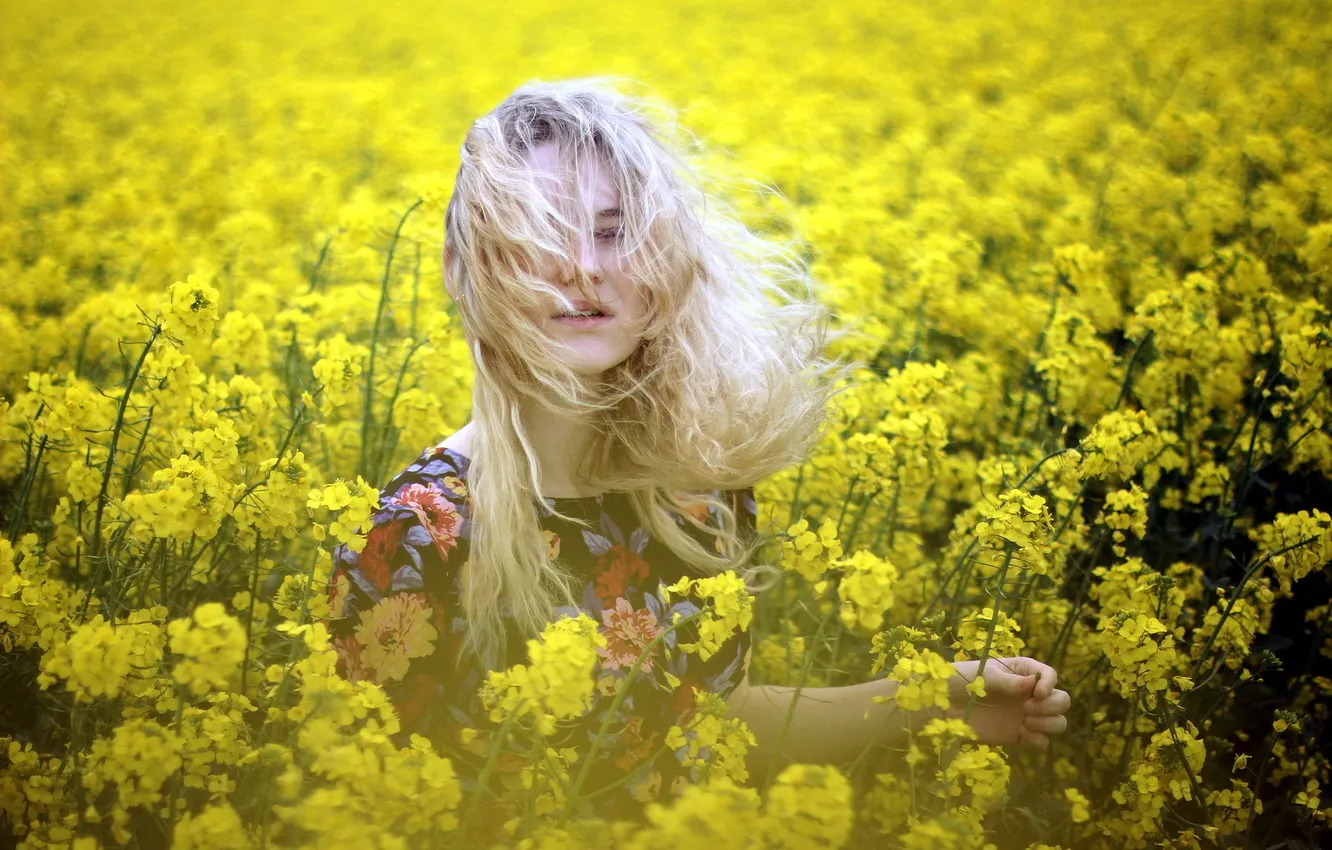 Photo wallpaper field, girl, rape