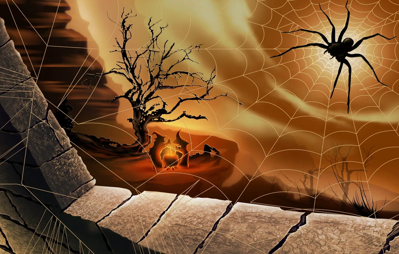 Photo wallpaper spider, witch, Halloween