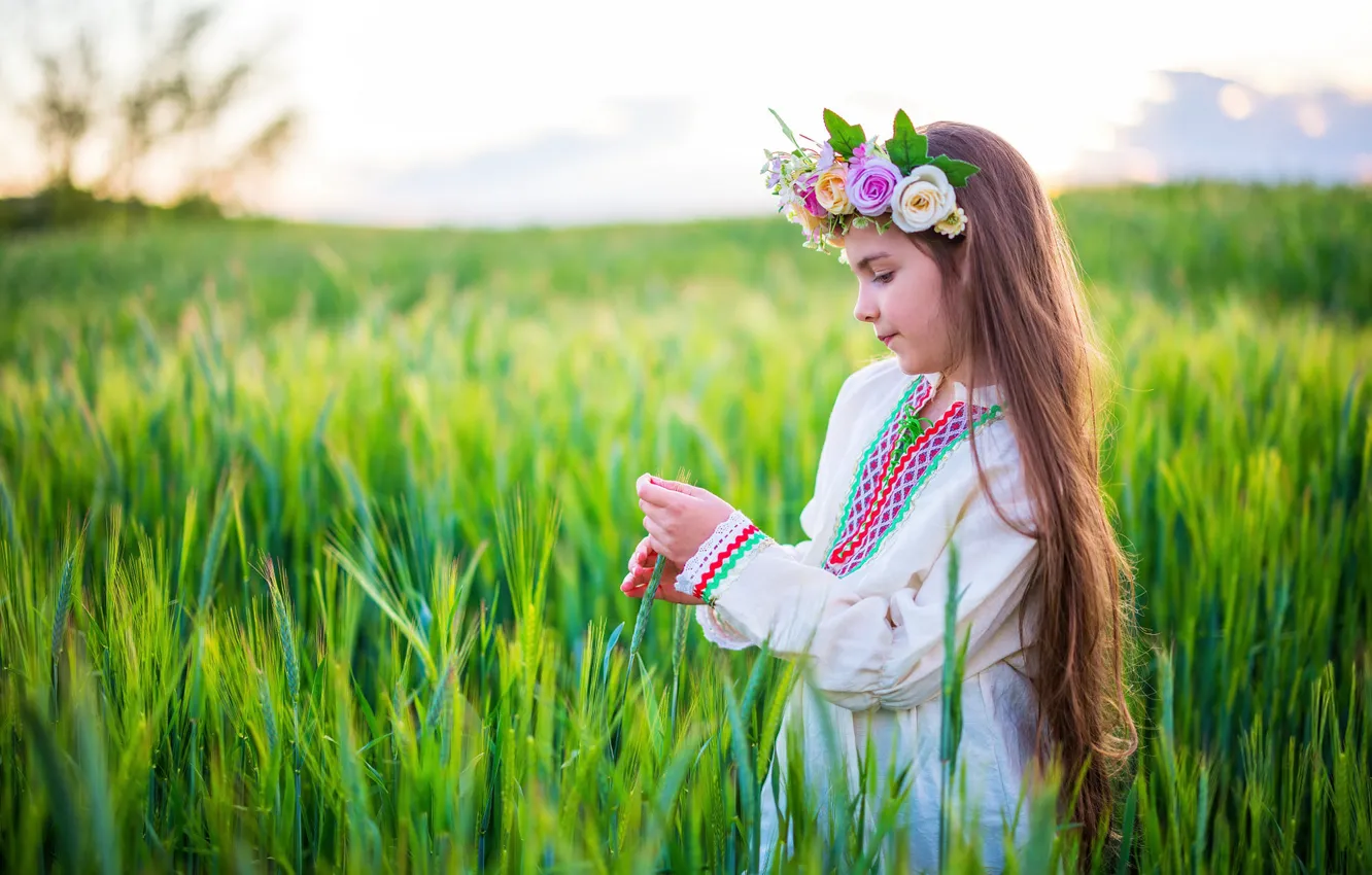Photo wallpaper field, summer, light, flowers, nature, mood, girl, ears