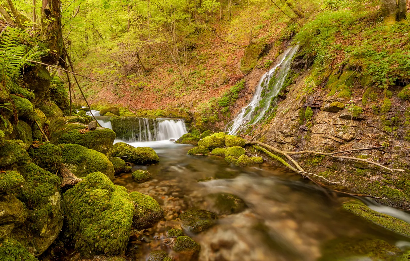 Photo wallpaper autumn, forest, leaves, trees, stream, stones, waterfall, moss