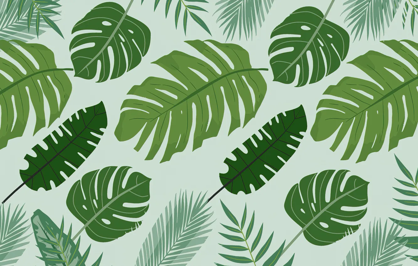 Photo wallpaper leaves, green, background, pattern, plant, texture, ornament, different