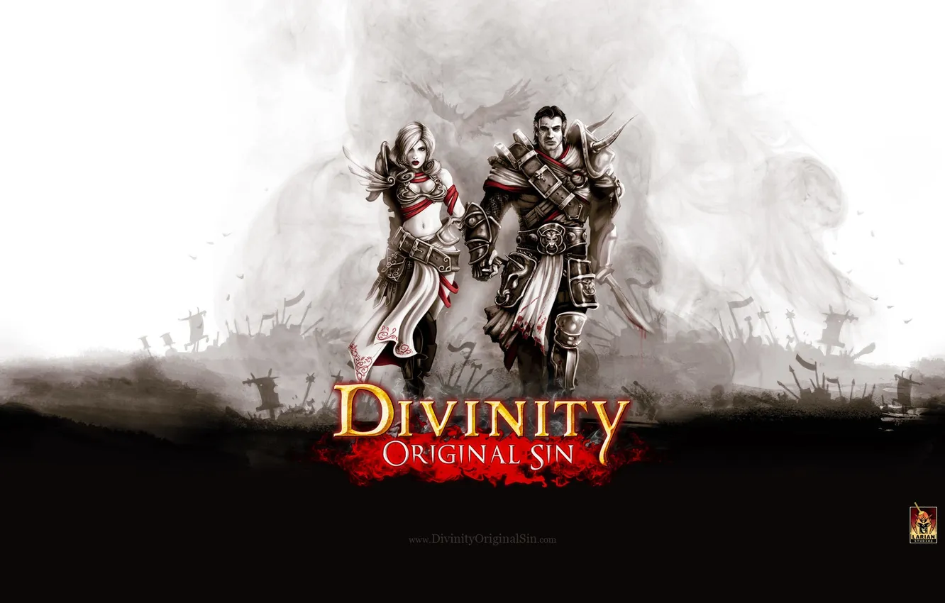 Photo wallpaper RPG, Divinity: Original Sin, Step-by-step