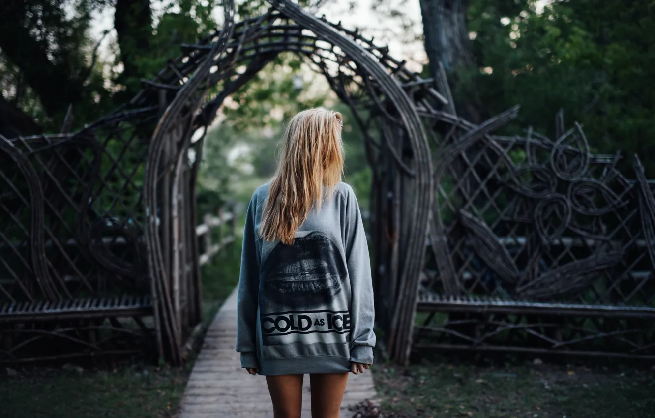 Photo wallpaper girl, background, hair, figure, legs