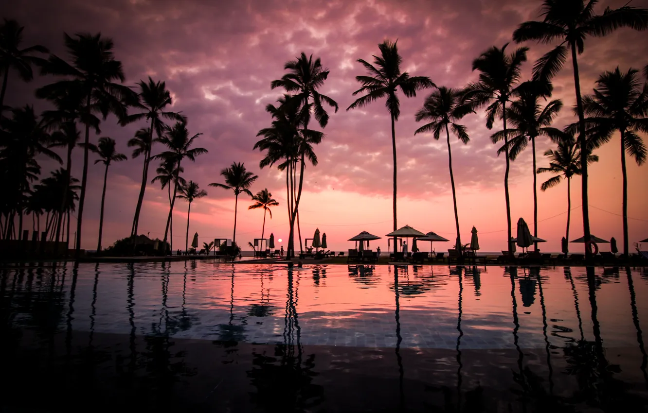 Photo wallpaper pool, sunset, clouds, palm trees, Sri Lanka, Negombo Beach, Negombo, South Asia