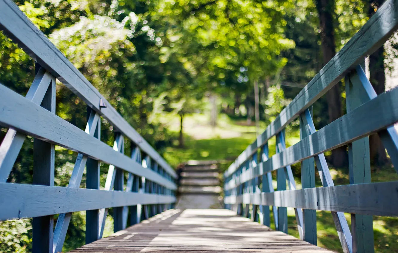 Photo wallpaper summer, the sun, trees, bridge, nature, widescreen, Wallpaper, foliage