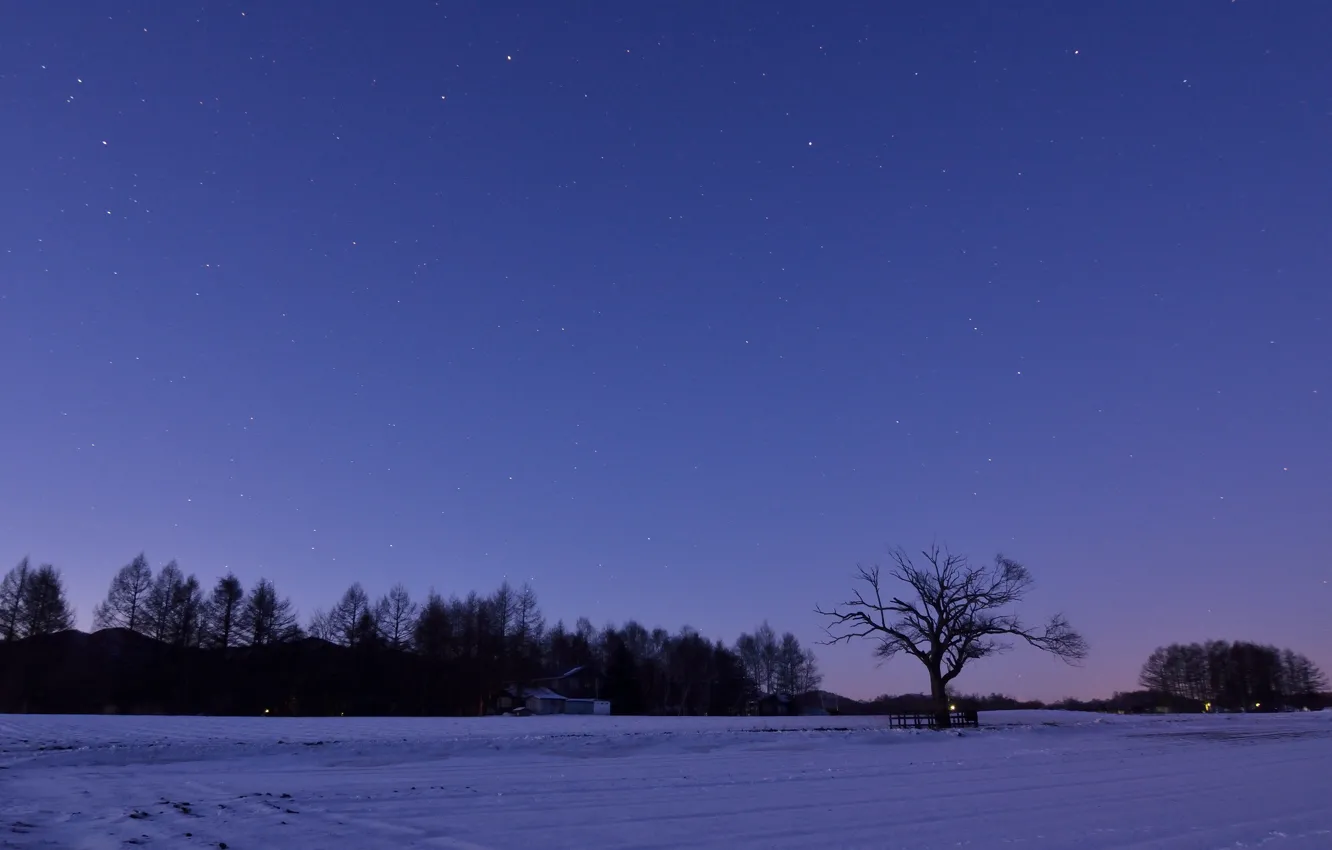 Photo wallpaper winter, field, the sky, stars, snow, trees, night, Japan