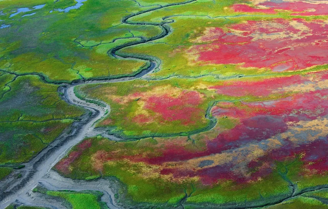 Photo wallpaper Alaska, USA, The Katmai national Park, watts, after the tide, dehydration, coastal shallows