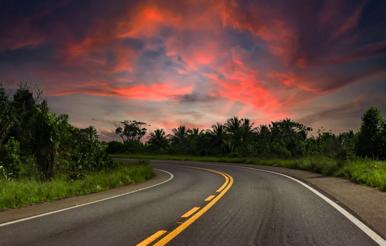 Photo wallpaper road, the sky, clouds, trees, sunset, turn