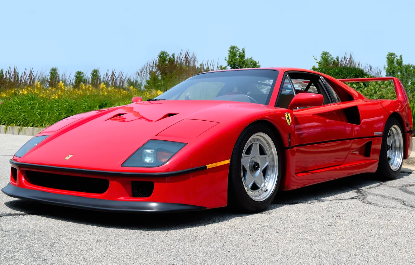 Photo wallpaper red, Ferrari, Ferrari, the front, F40