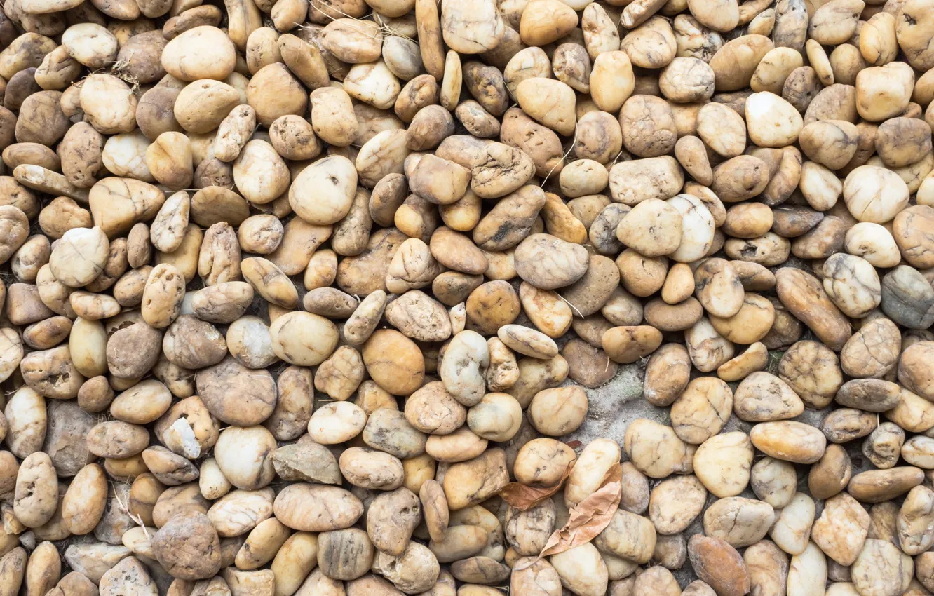 Photo wallpaper beach, pebbles, stones, background, white, white, beach, texture