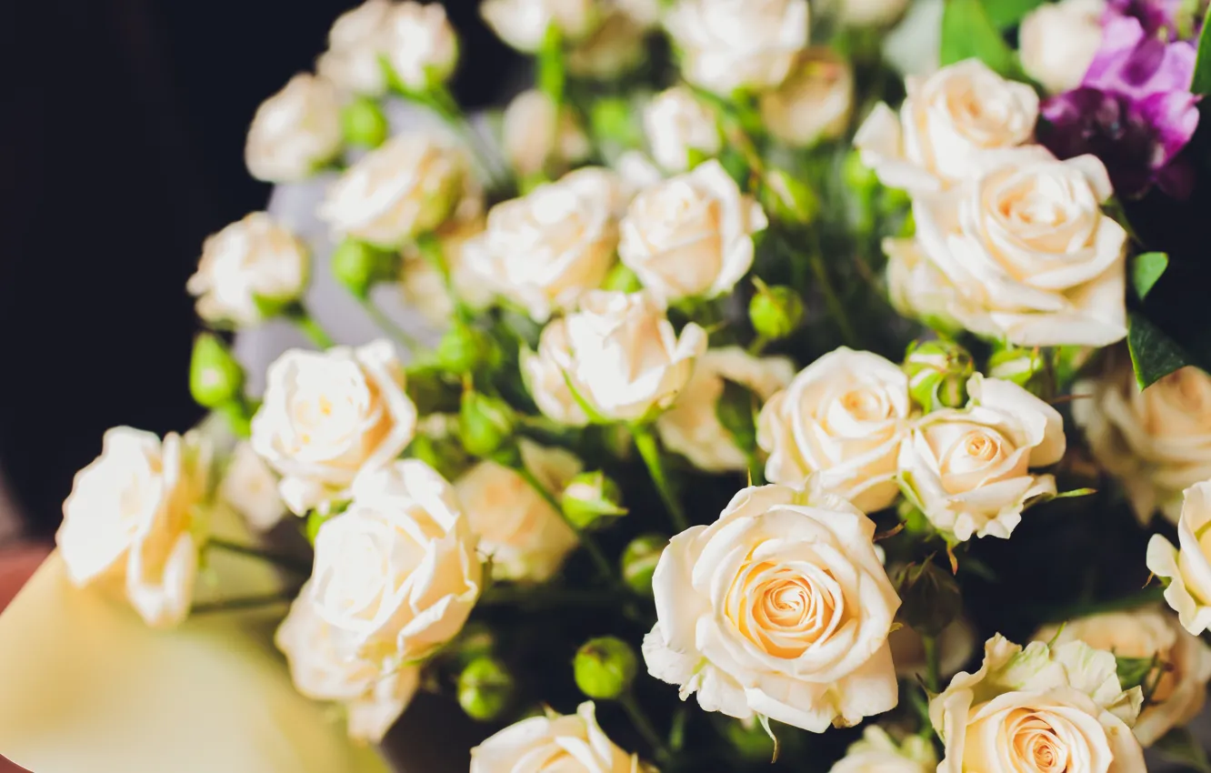 Photo wallpaper roses, bouquet, beautiful