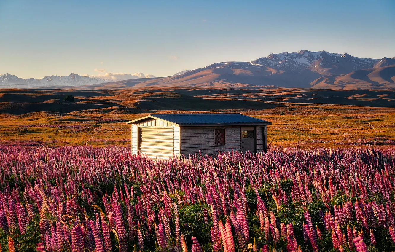 Photo wallpaper field, summer, the sky, light, flowers, mountains, hills, dal